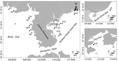 Ecological connectivity of the Qiongzhou Strait: a case form Orangefin Ponyfish (Photopectoralis bindus) haplotype diversity and genetic structure